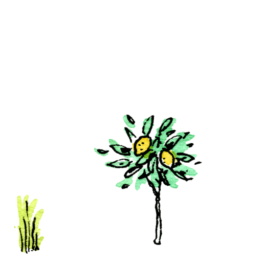 ちょっと特別なおくりもの